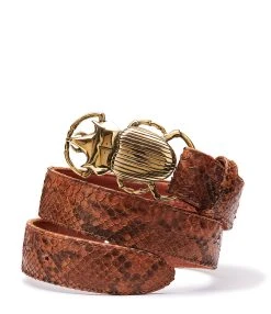 Claris Virot Ceinture Scarabée Python Moka Doré