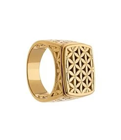 LES FÉLICITÉS Chevalière Harmonie 7 Pierres De Protection