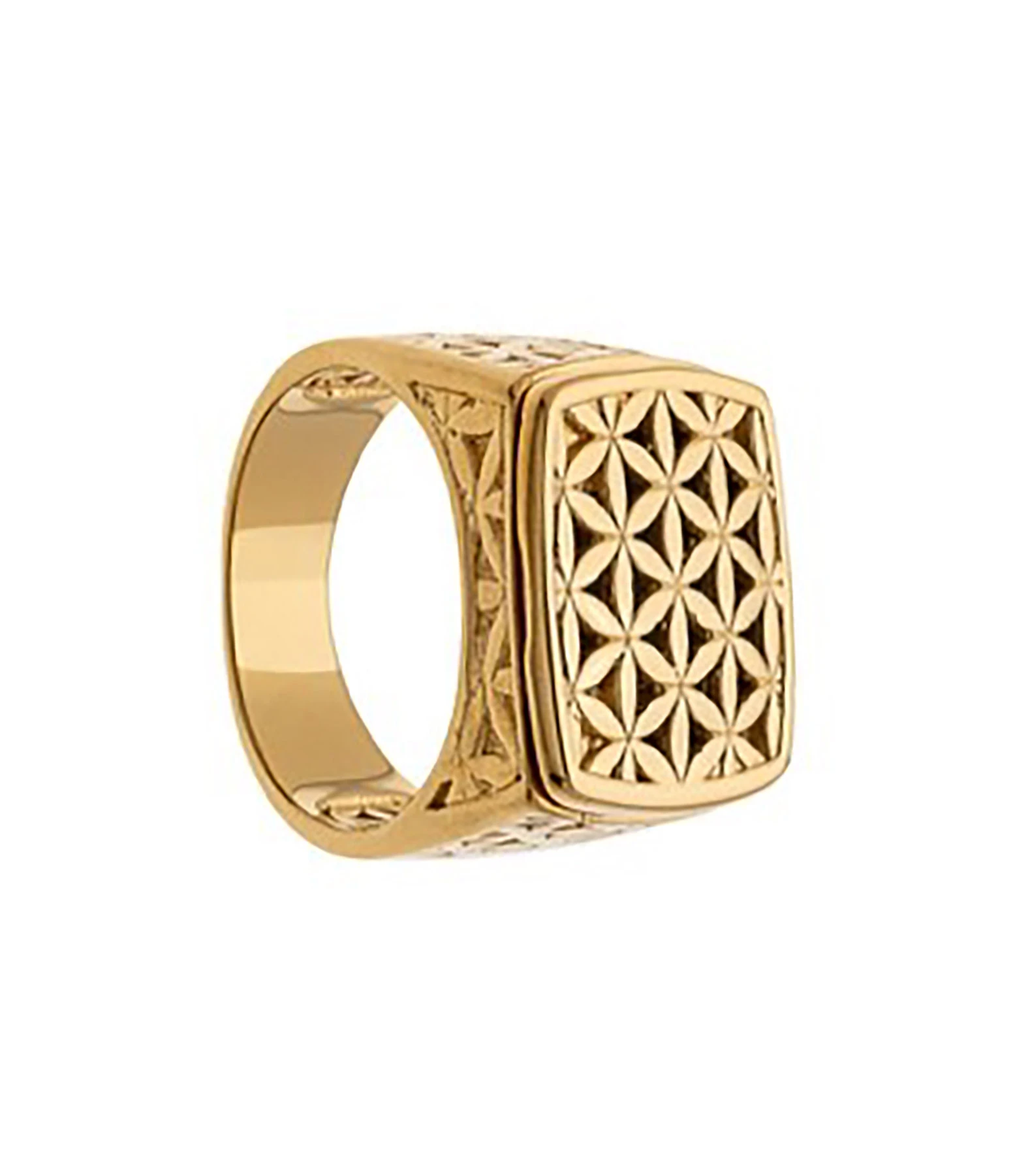 LES FÉLICITÉS Chevalière Harmonie 7 Pierres De Protection 1 LES FÉLICITÉS Chevalière Harmonie 7 Pierres De Protection