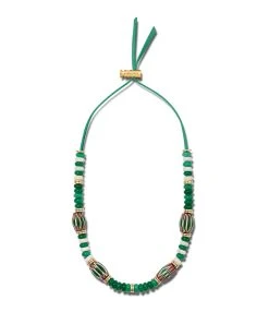 SAONA Collier Arizona Molly